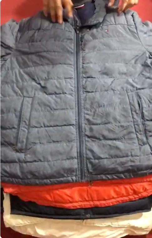 Tommy/TNF/Patagonia/ Ralph Lauren Puffer Jackets Mix 29 PCs